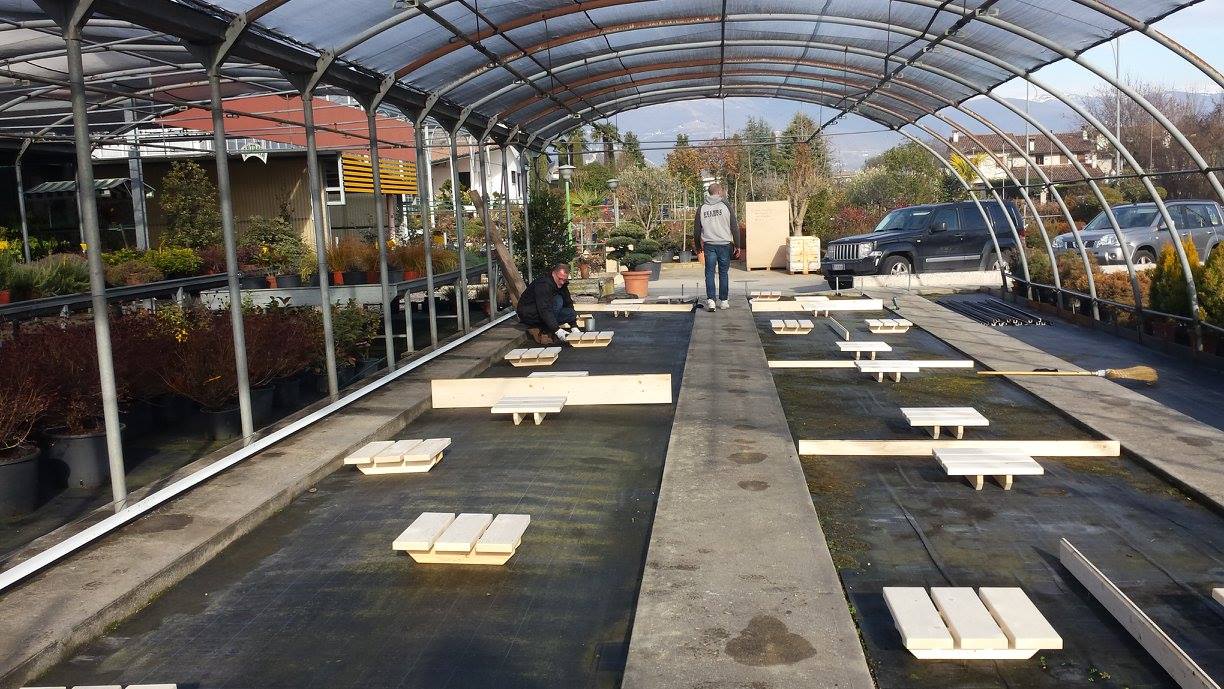 La nascita dell’Italian Bonsai Museum