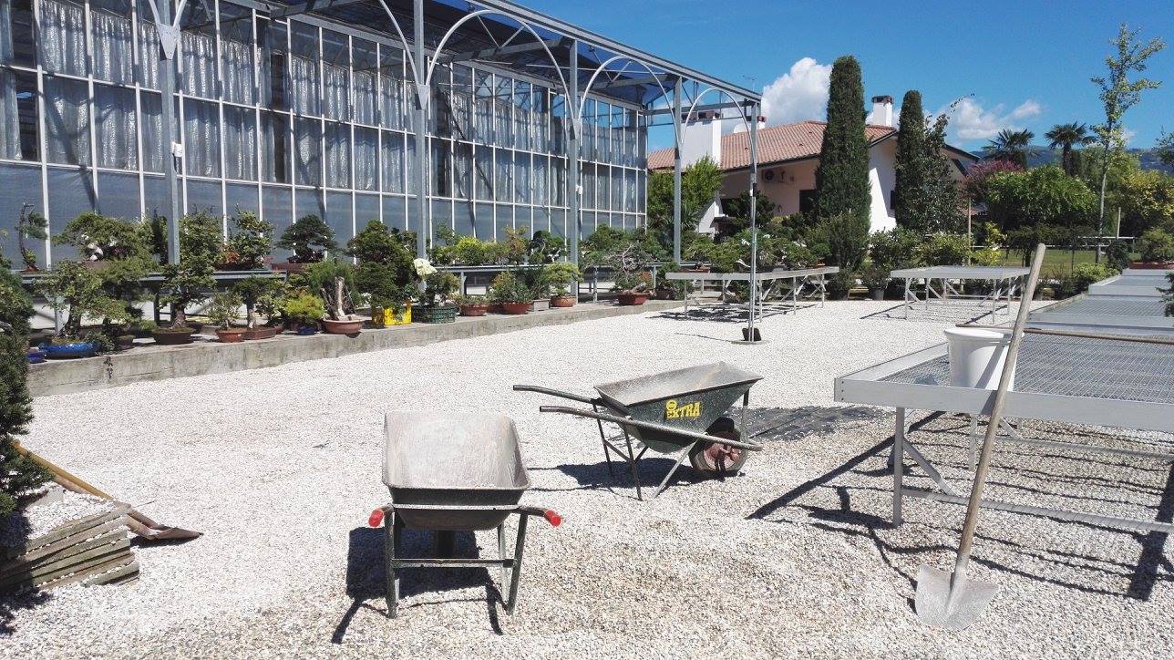La nascita dell’Italian Bonsai Museum