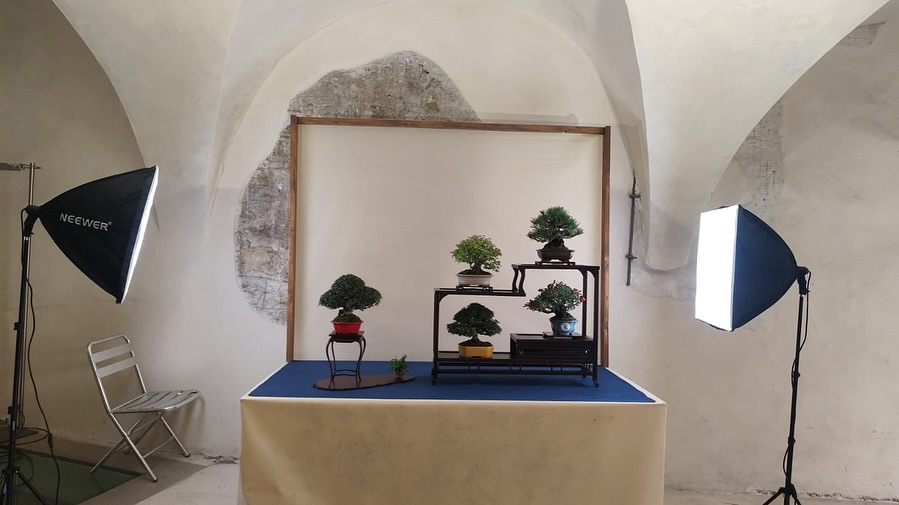 Le composizioni del club alla mostra del Coordinamento Triveneto 2025 · immagine 2