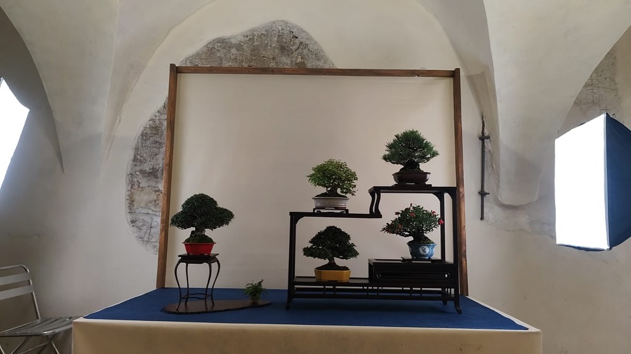 Le composizioni del club alla mostra del Coordinamento Triveneto 2025 · immagine 3