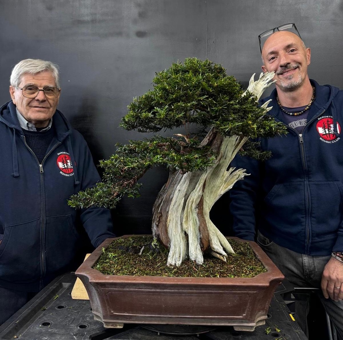 Workshop prenatalizio con Francesco Forno e Fabrizio Zorzi · immagine 2