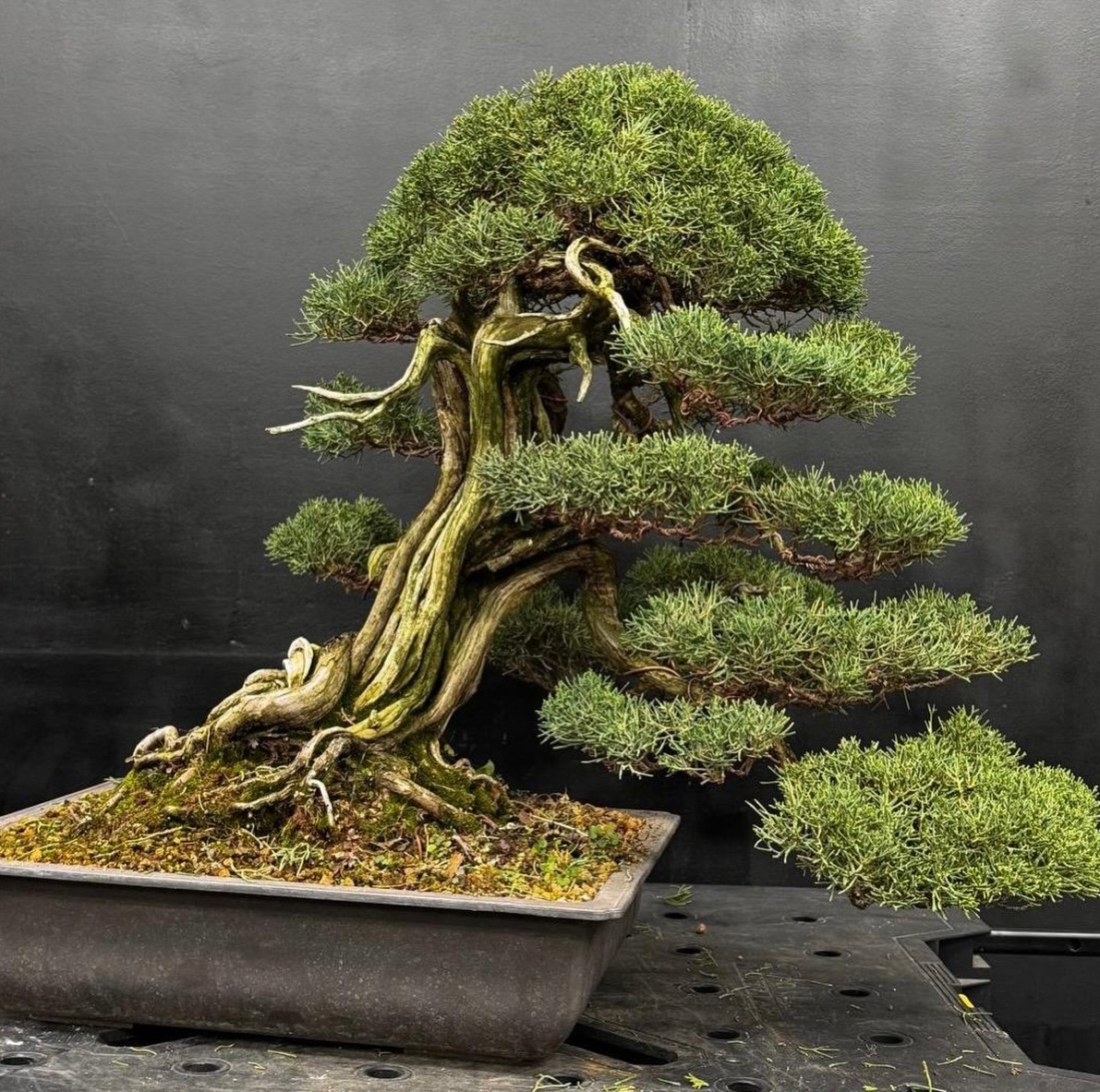 Workshop prenatalizio con Francesco Forno e Fabrizio Zorzi · immagine 17