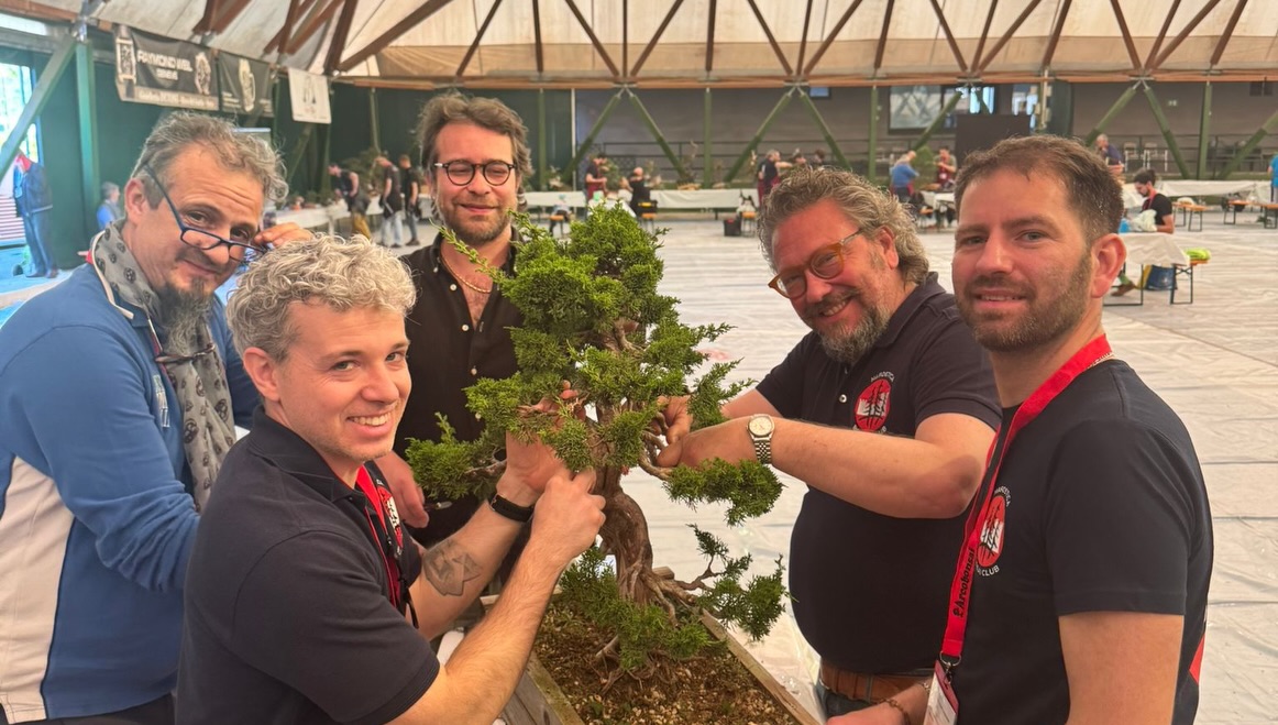 Un anno di bonsai, lavoro e condivisione · immagine 5