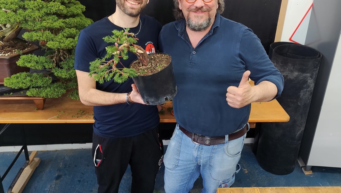 Un anno di bonsai, lavoro e condivisione · immagine 6
