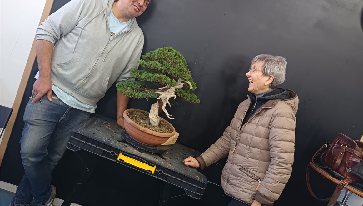 Un anno di bonsai, lavoro e condivisione · immagine 10
