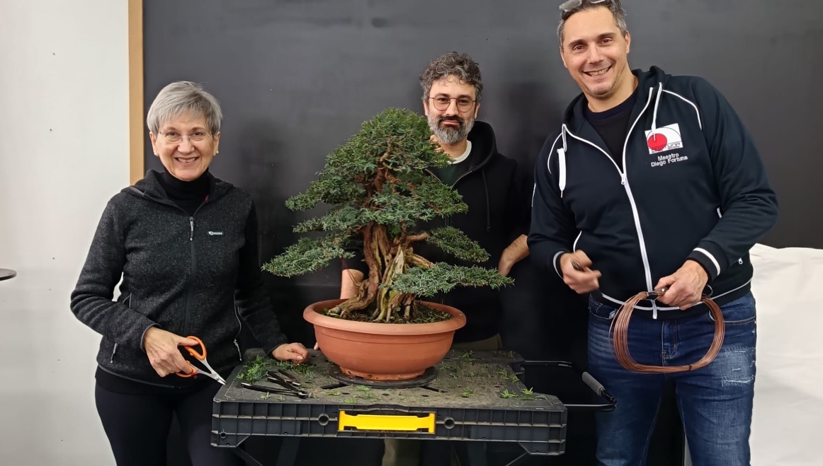 Un anno di bonsai, lavoro e condivisione · immagine 13
