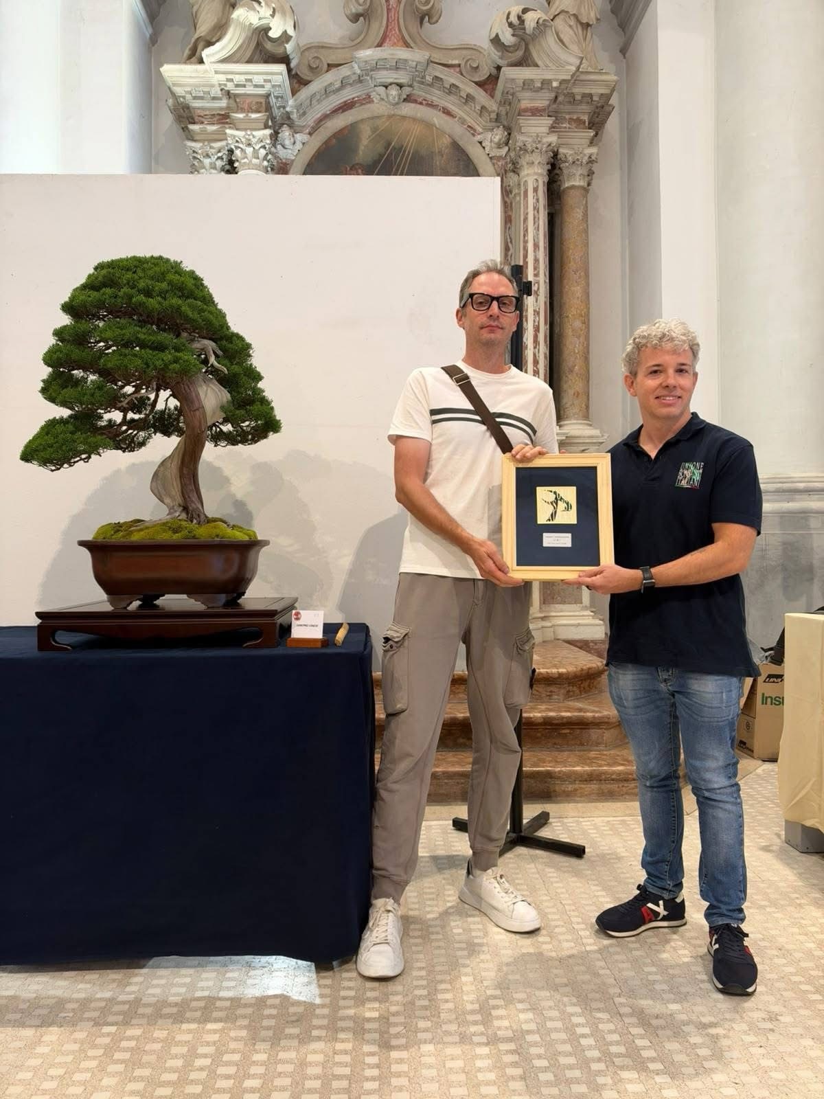 Bonsai tra le Mura 2026: le immagini di Cittadella · immagine 2