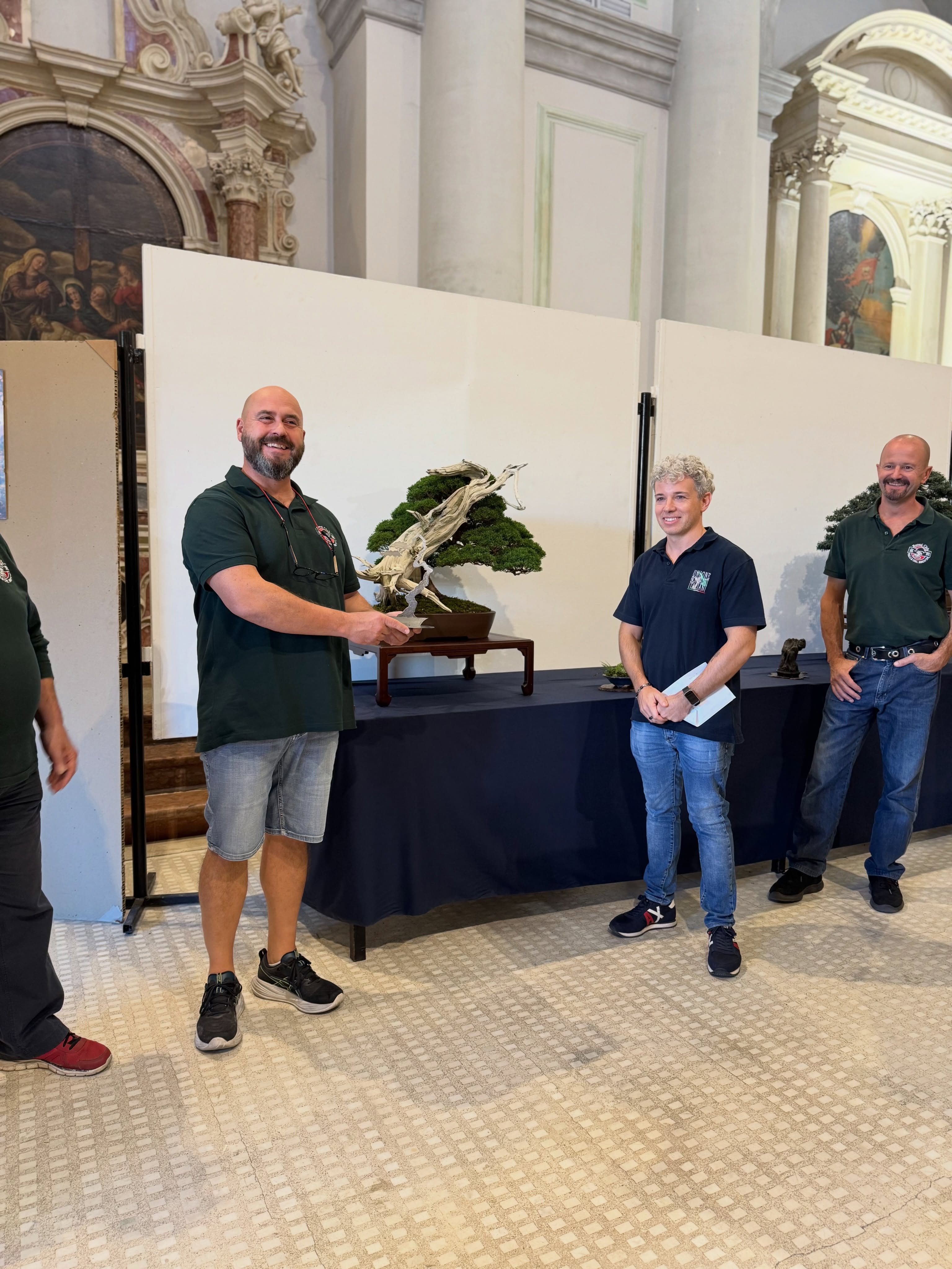 Bonsai tra le Mura 2026: le immagini di Cittadella · immagine 5